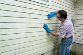 Best Historical Building Siding Restoration  in Barberton, WA